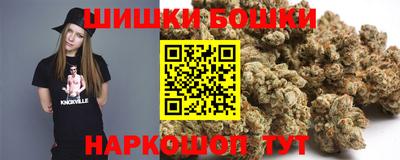 мдпв Ставрополь
