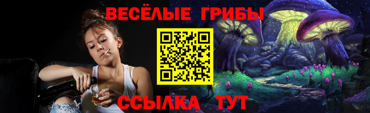 Галлюциногенные грибы Psilocybe  Вход с VPN  Галлюциногенные грибы Magic Shrooms  Нижний Новгород 